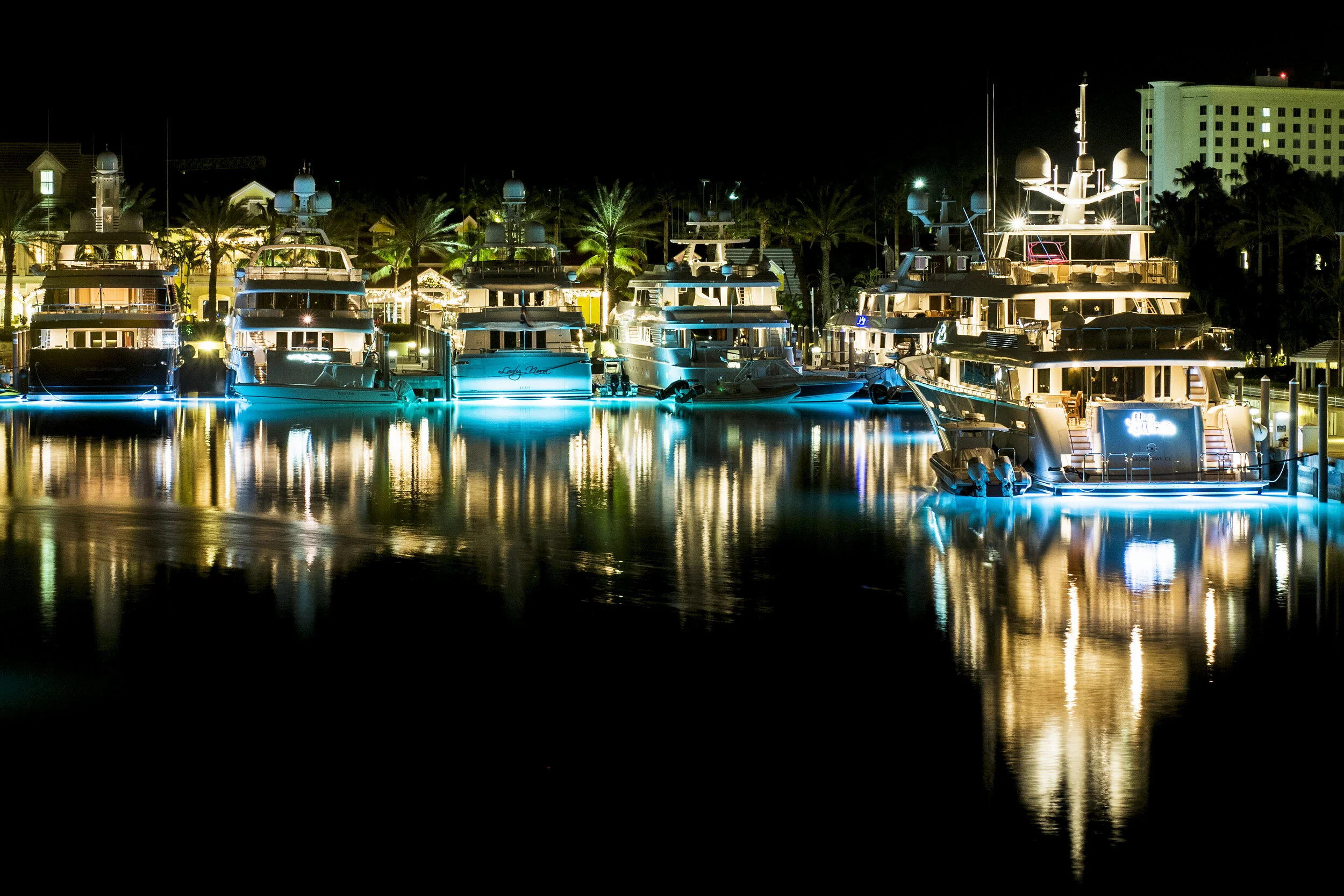 _DSC6031 - Alternate Edit - Crop 12 x 18.jpg