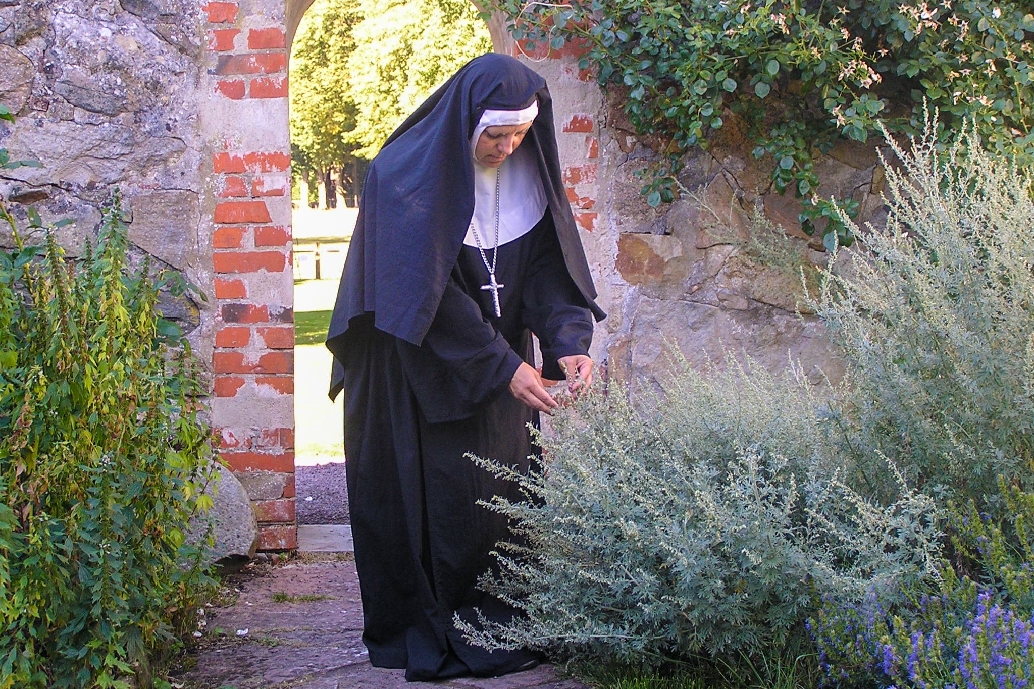 Herb-garden_Ortagården-Bosjökloster.jpg