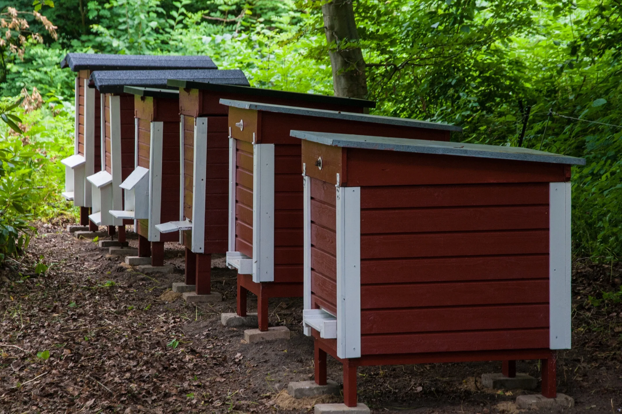 Bee-hives_Bikupor-Bosjökloster.jpg