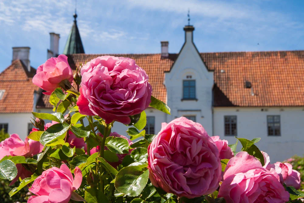 Årskort / Annual Pass