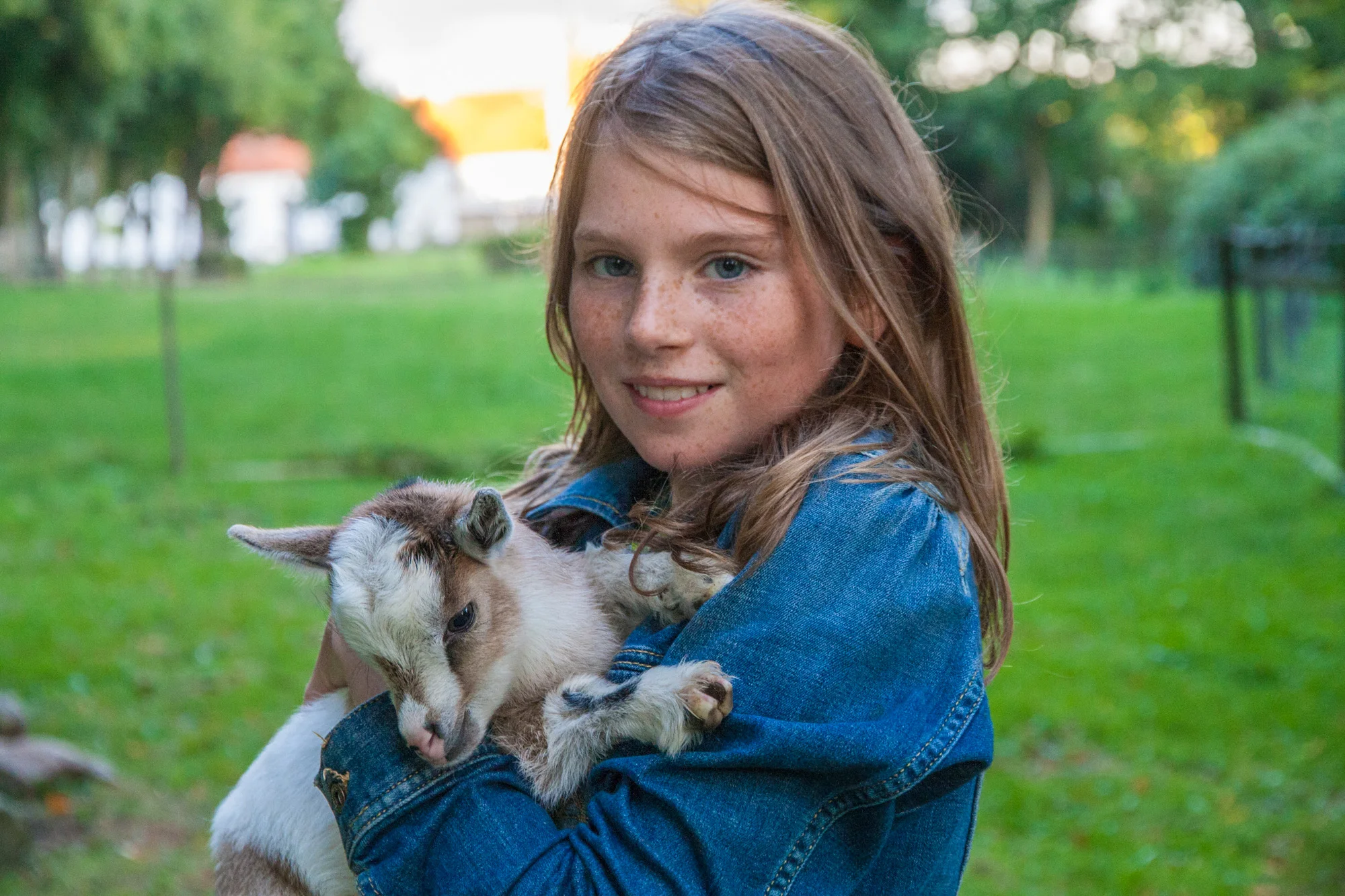 goat-kid-bosjokloster.jpg