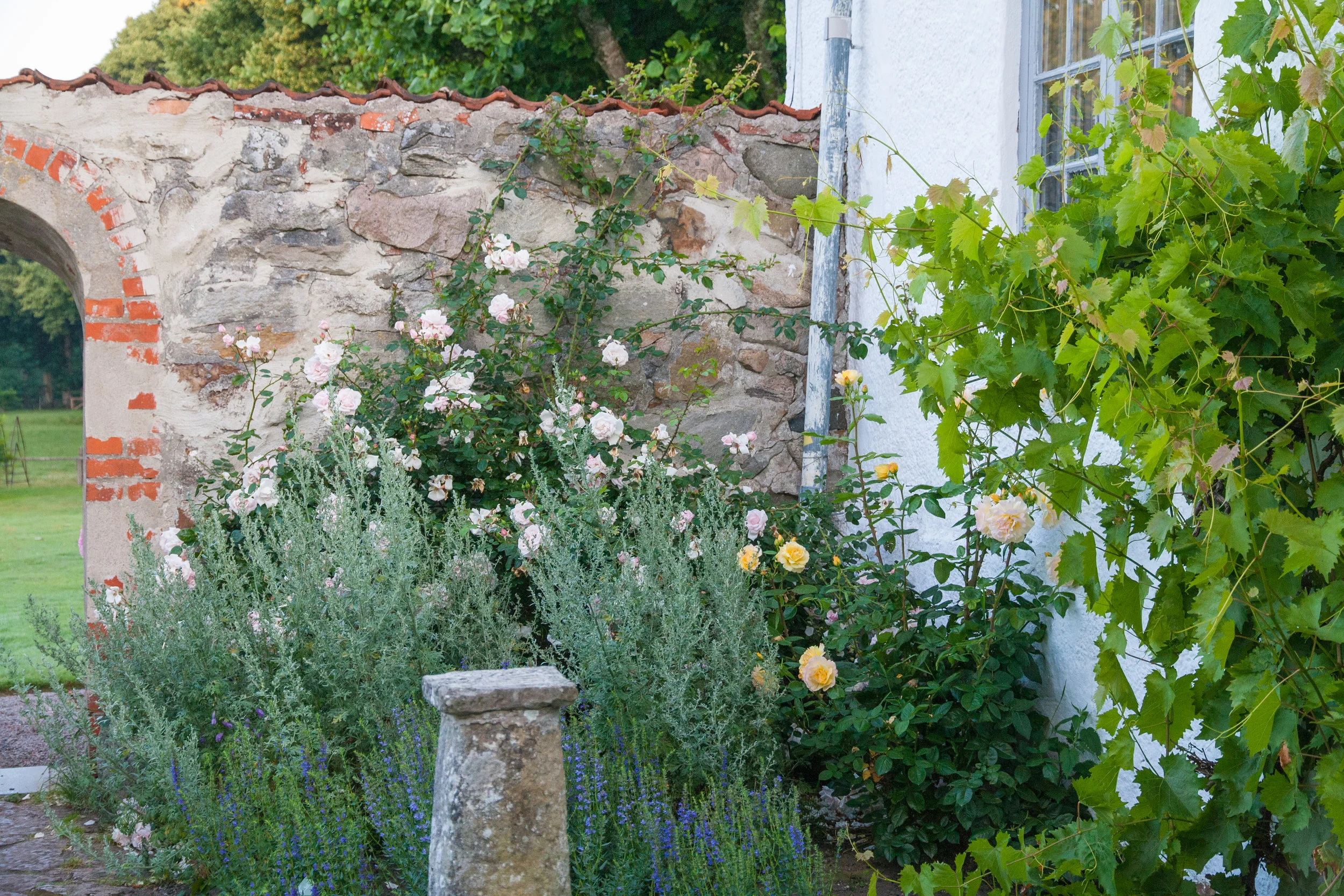 herb-garden.jpg