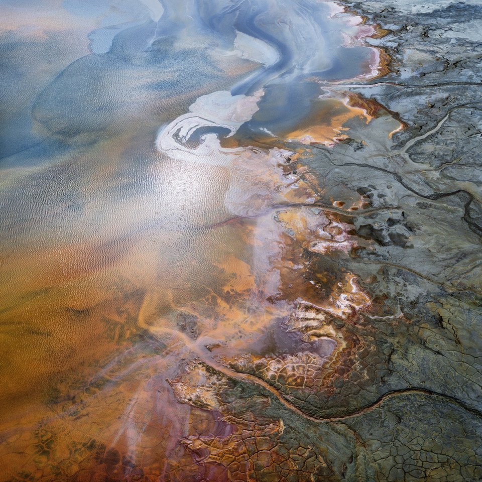 Colors of Poison #11.jpeg