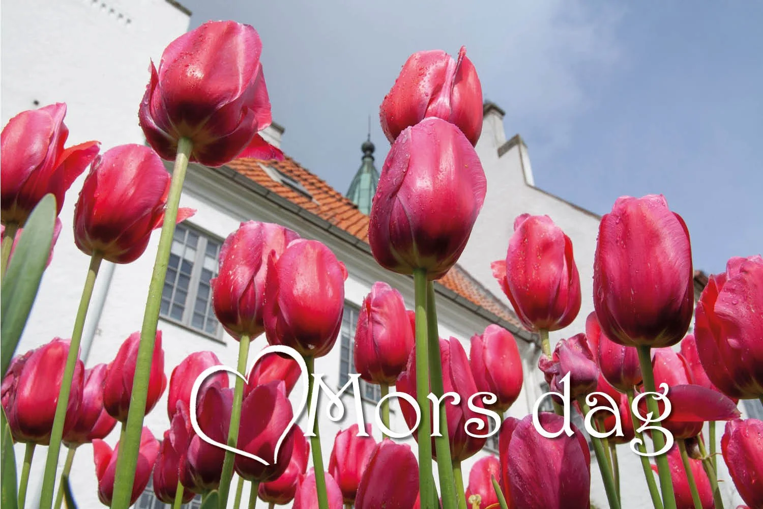 Mors dag på Bosjökloster