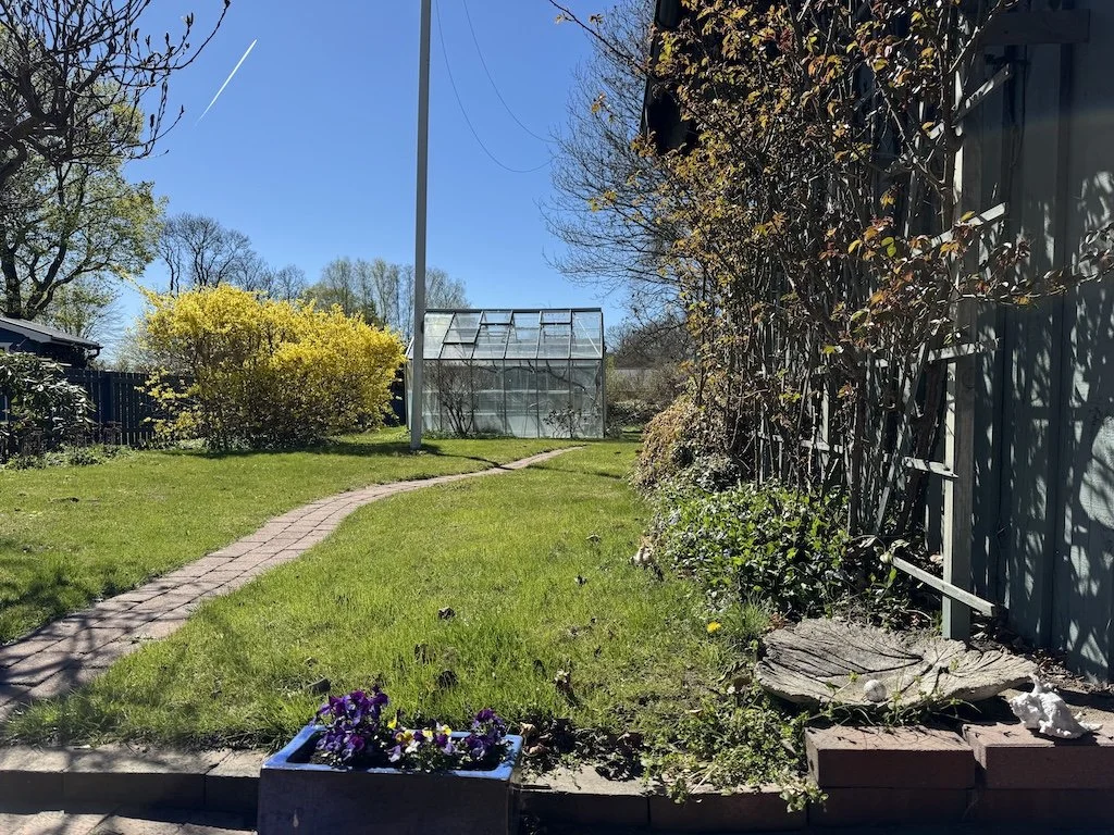 garden in spring-1.jpg
