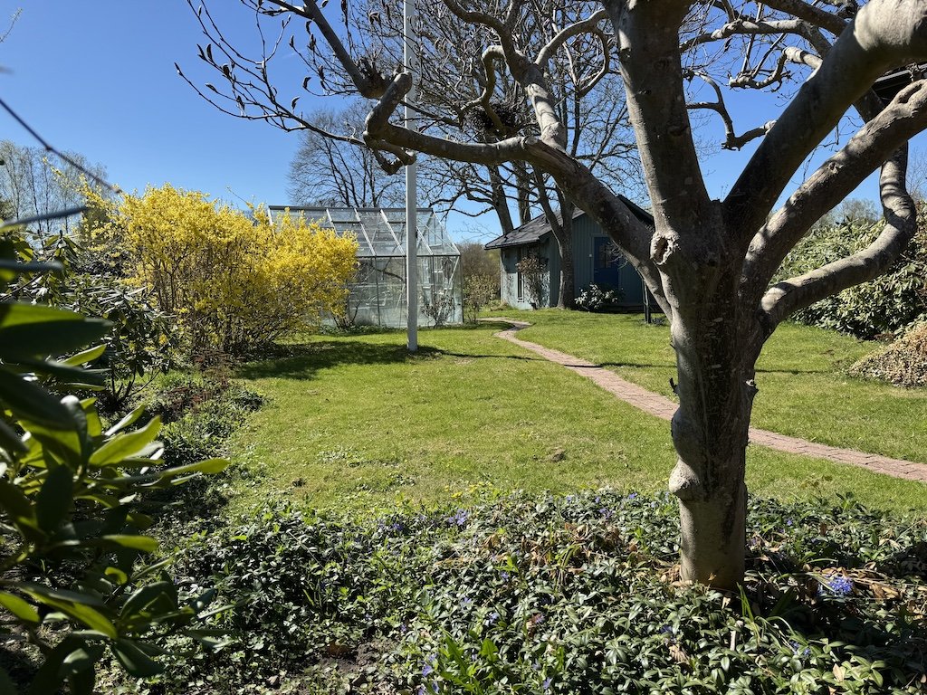 garden in spring.jpg