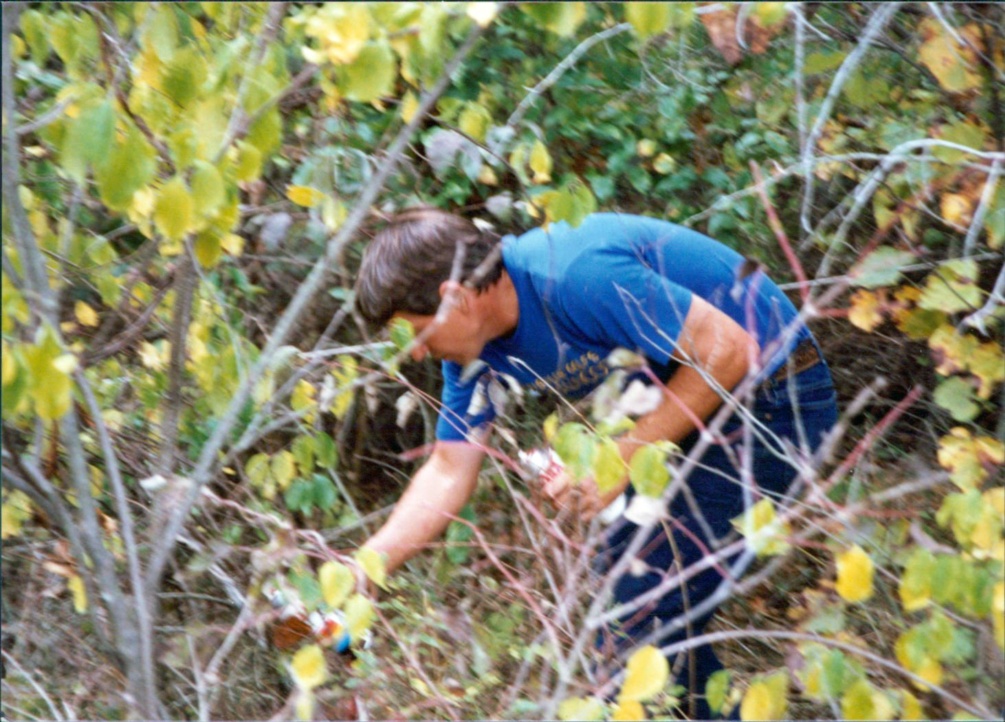Elmore had a true love and respect for trees.