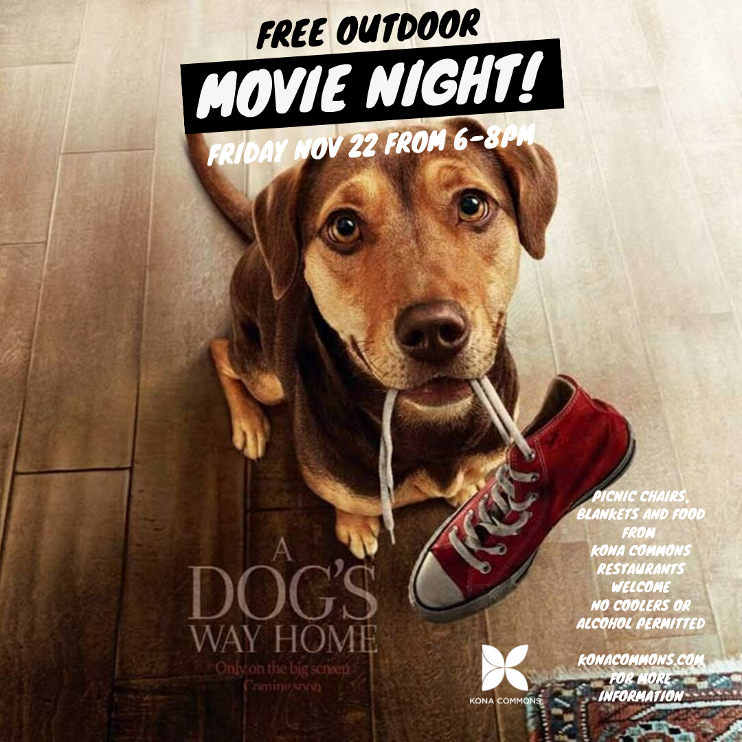 Outdoor Movie Night -November