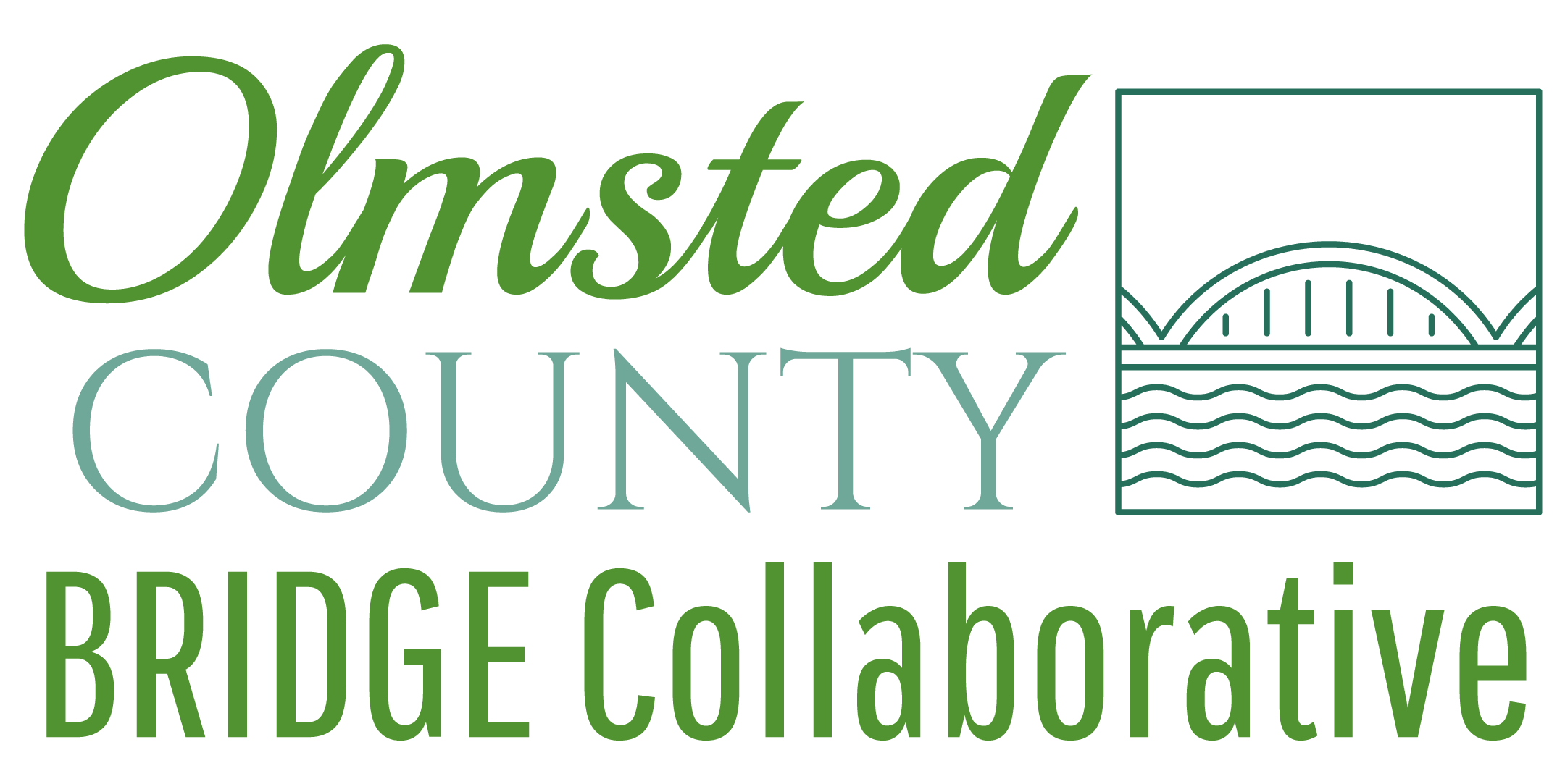 Olmsted County BRIDGE Collaborative