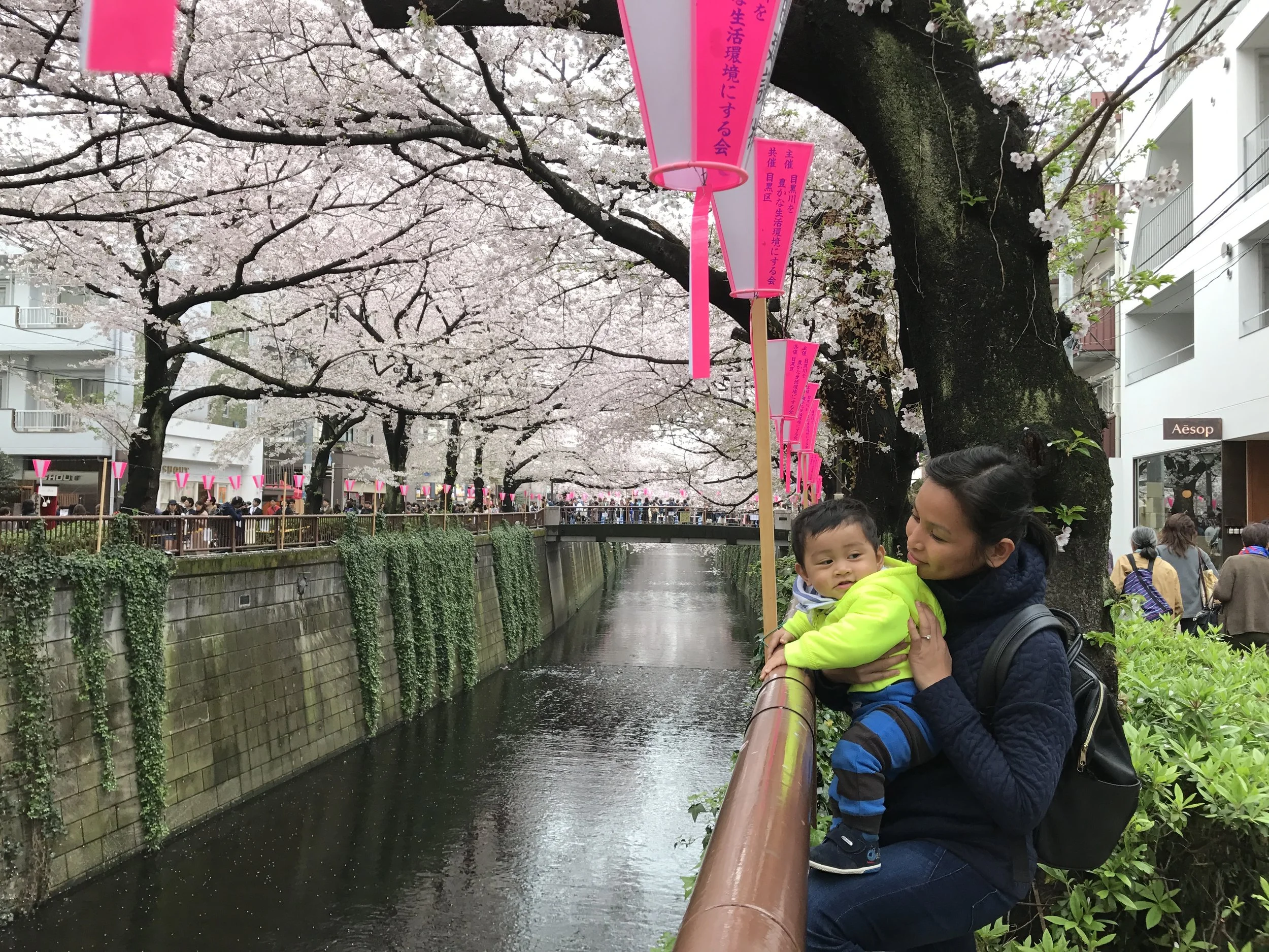 Teaching Violin in Japan