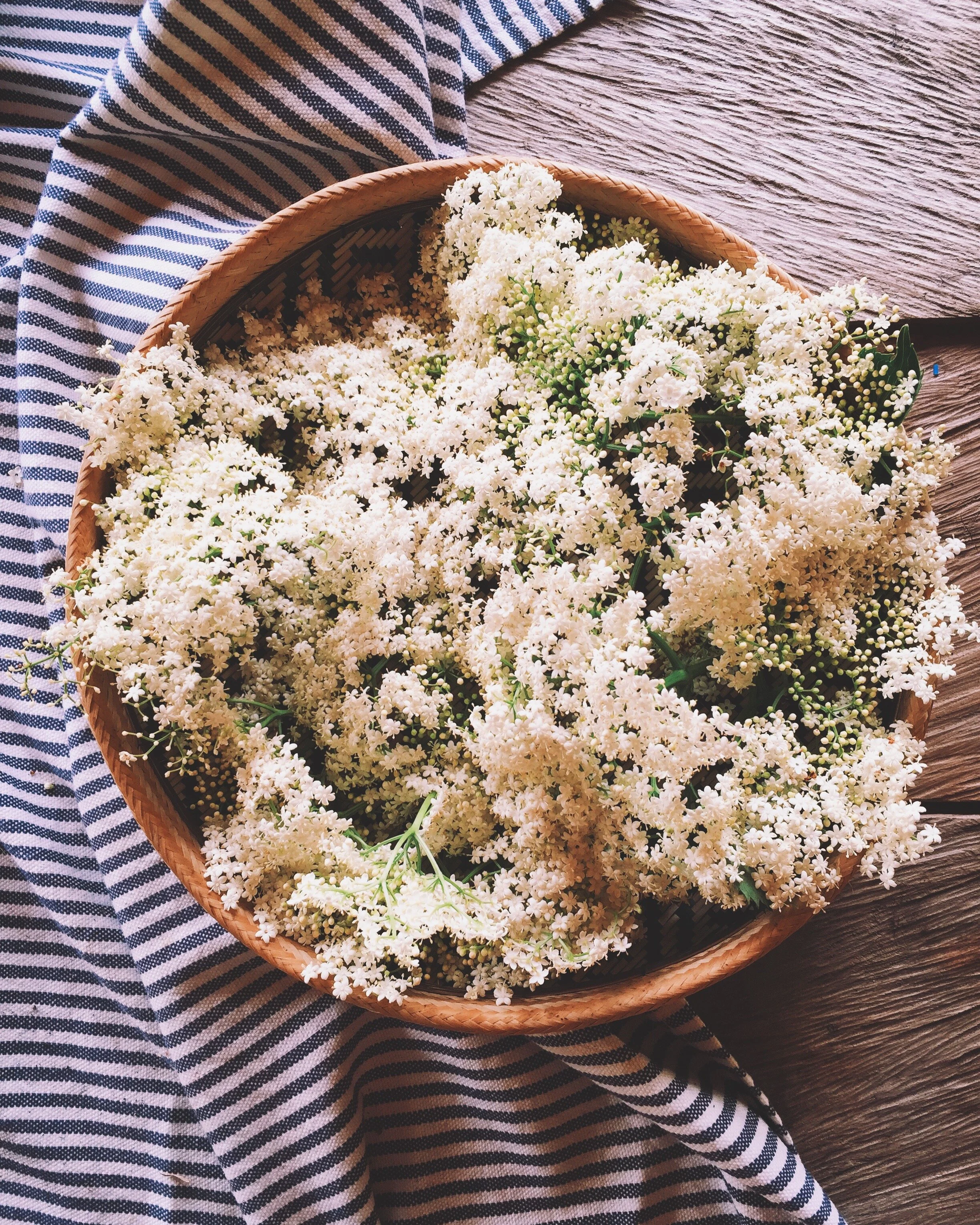 Jardin Secreto Pop-Up