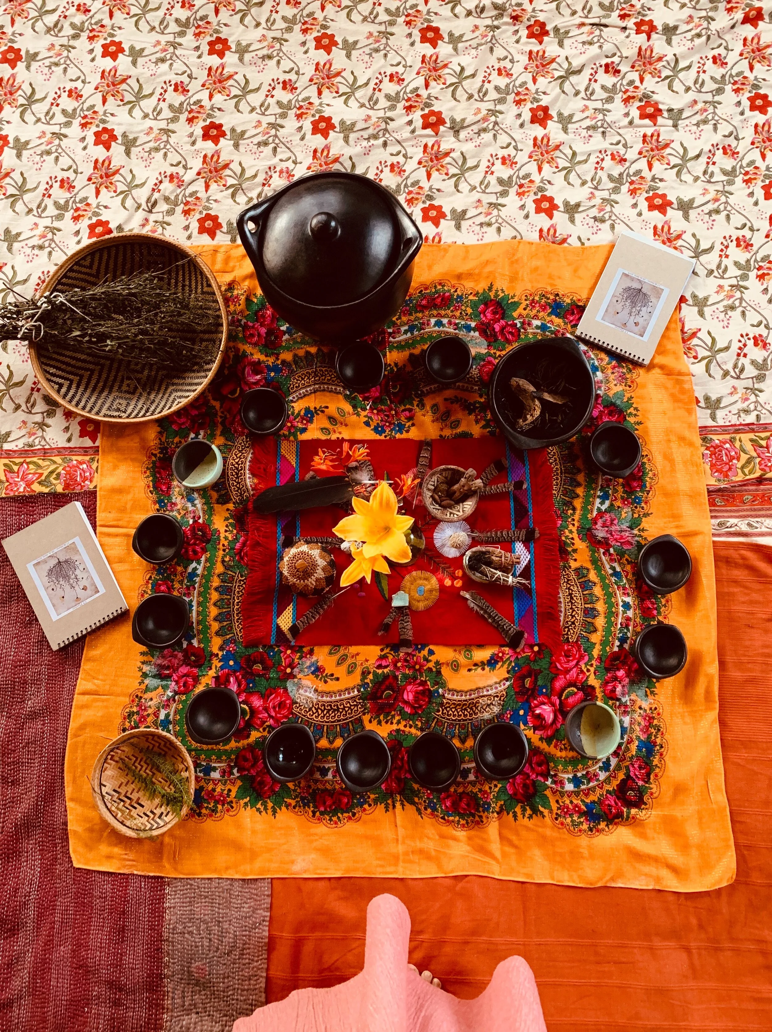 13 Plantas Aprenticeship