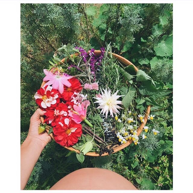 Floreciendo en mi jard&iacute;n❣️ Mi hija, yo y todos los seres.