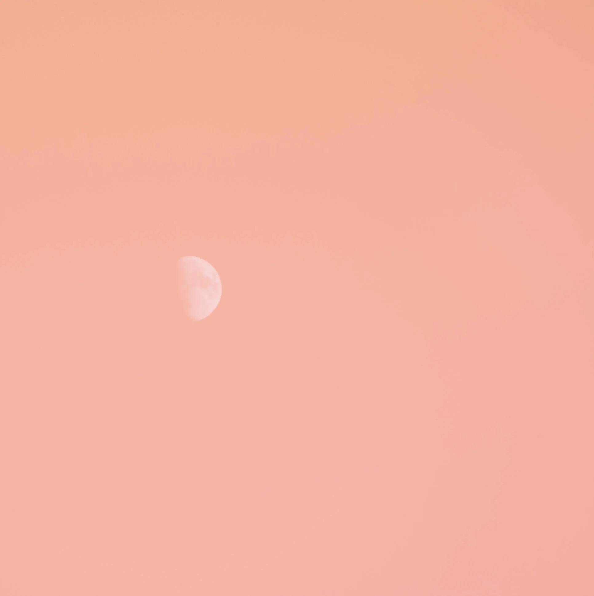 Moon Woo