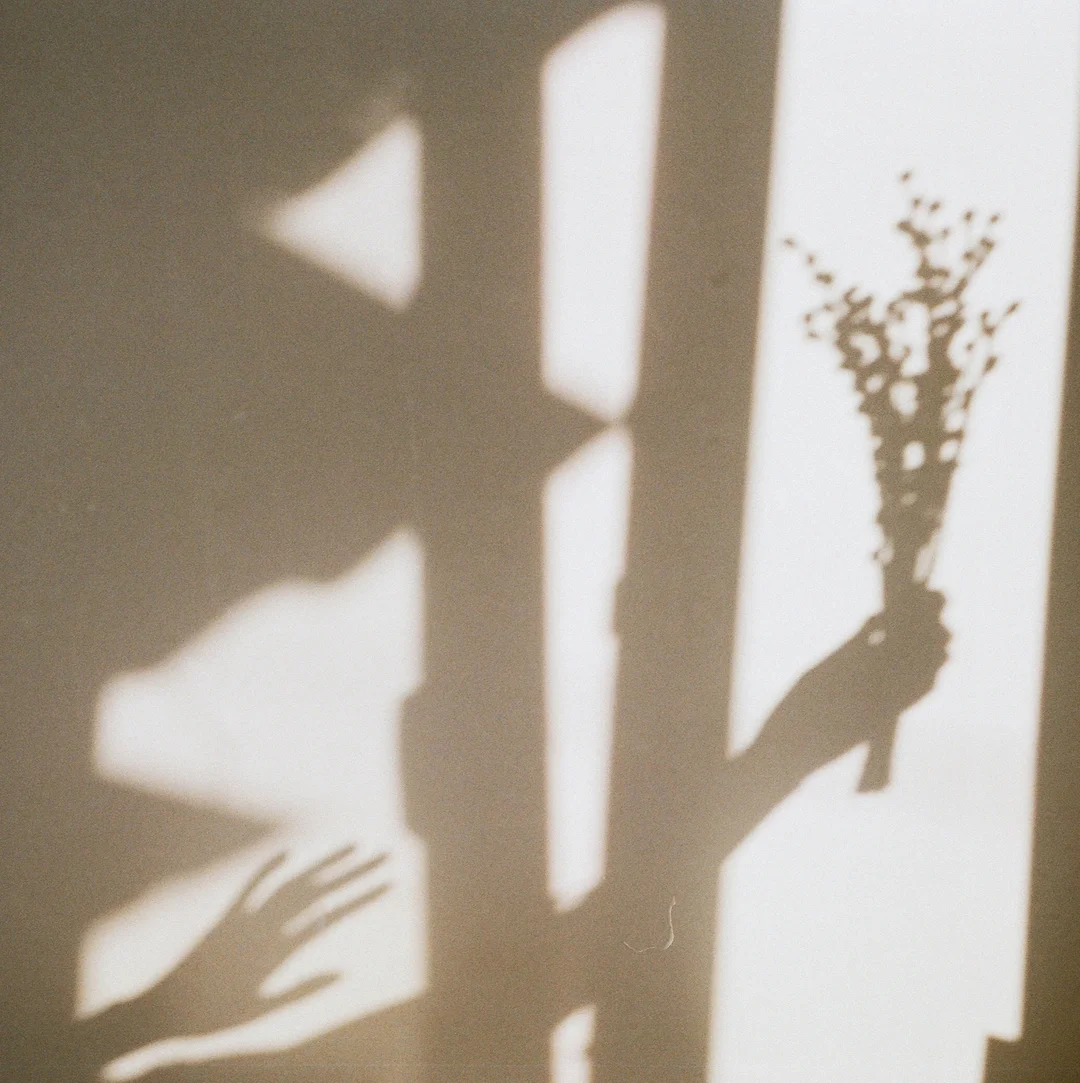 Our Shady Shadows