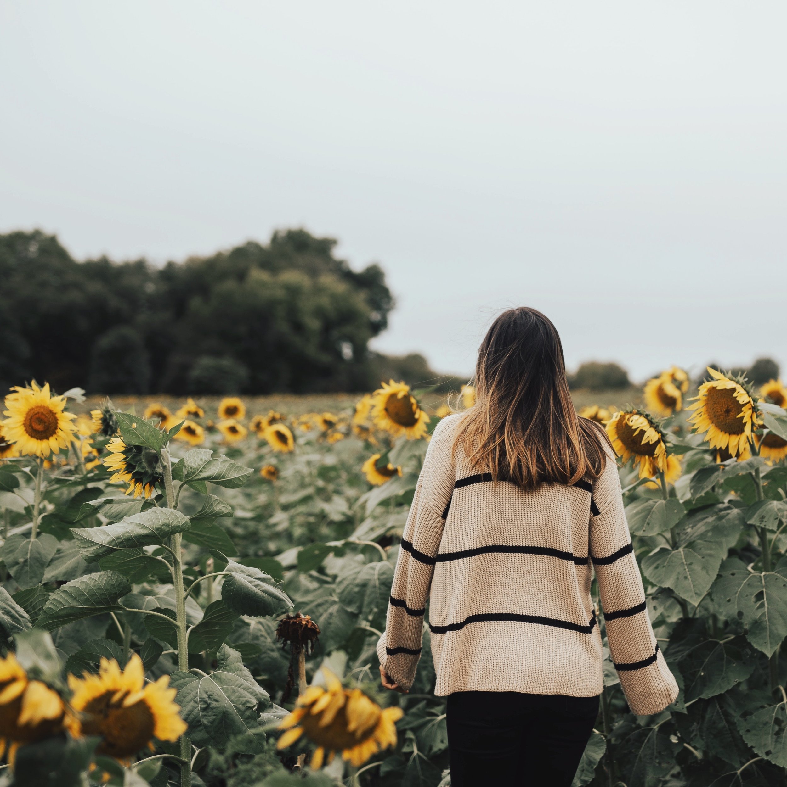 The Woo of Gratitude &amp; Appreciation