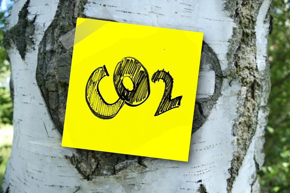 co2-3139230_960_720.jpg