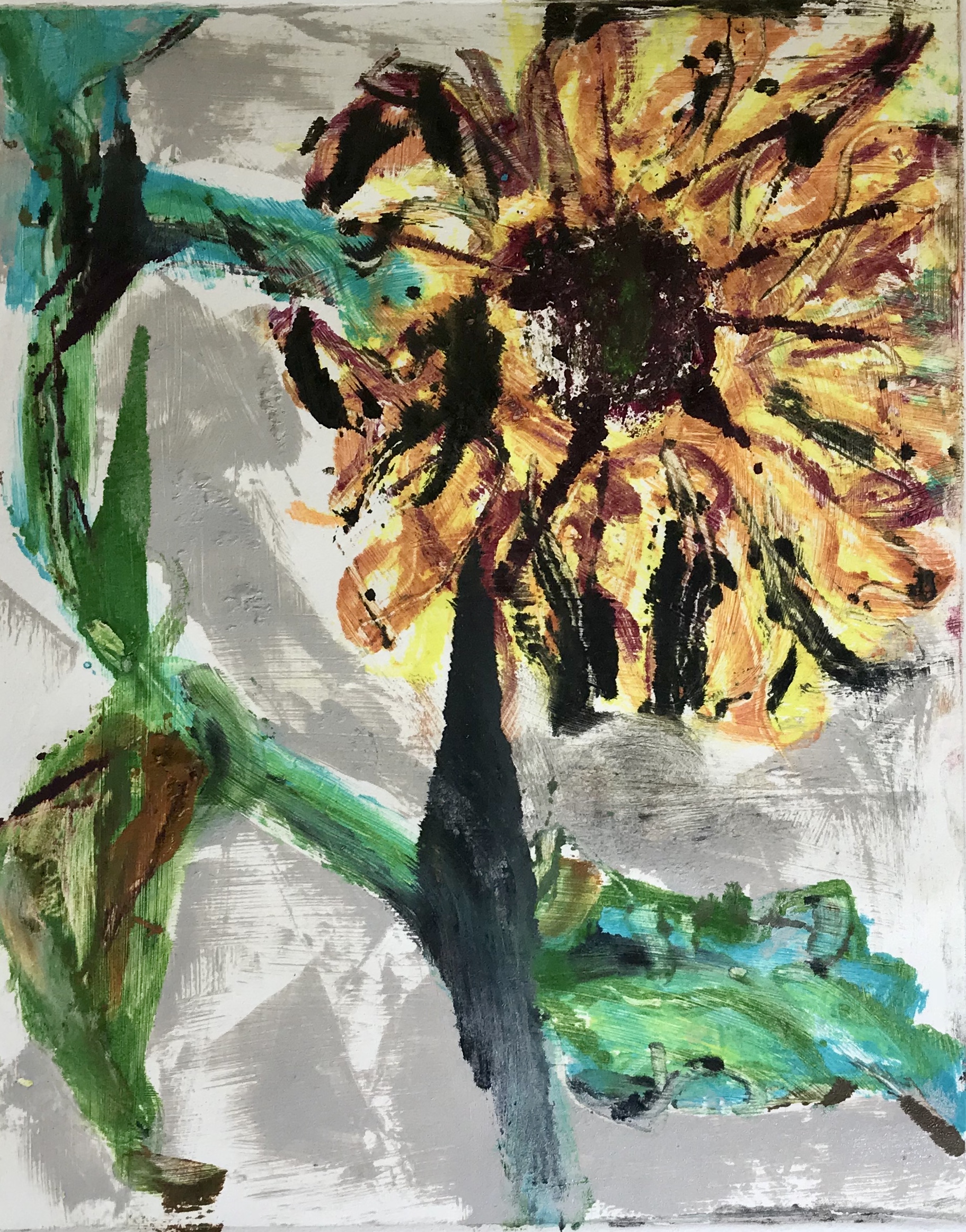 Sunflower