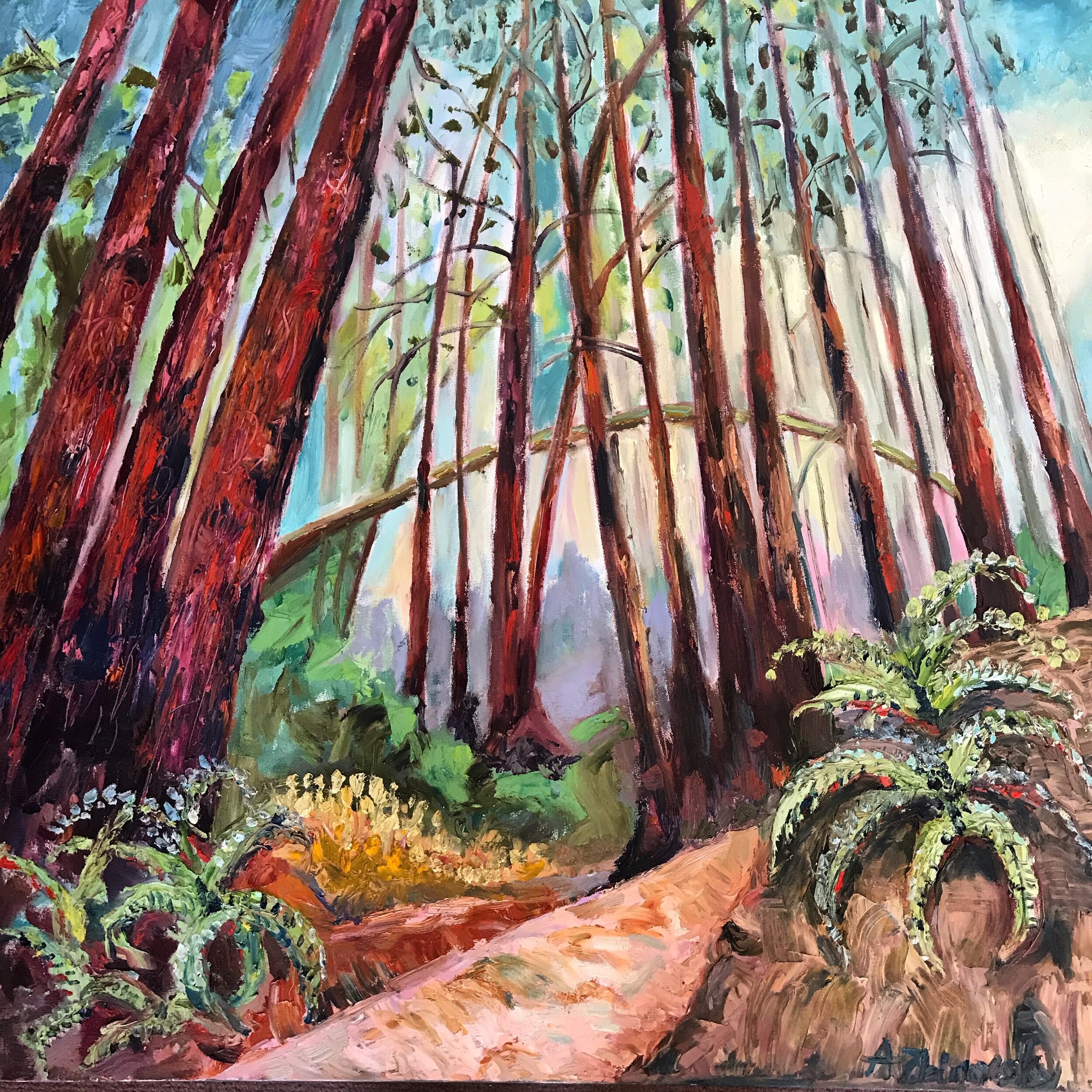 Redwood Grove