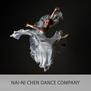 Nai-Ni-Chen---RSM-Homepage-Banner-image+-+Comp.jpg