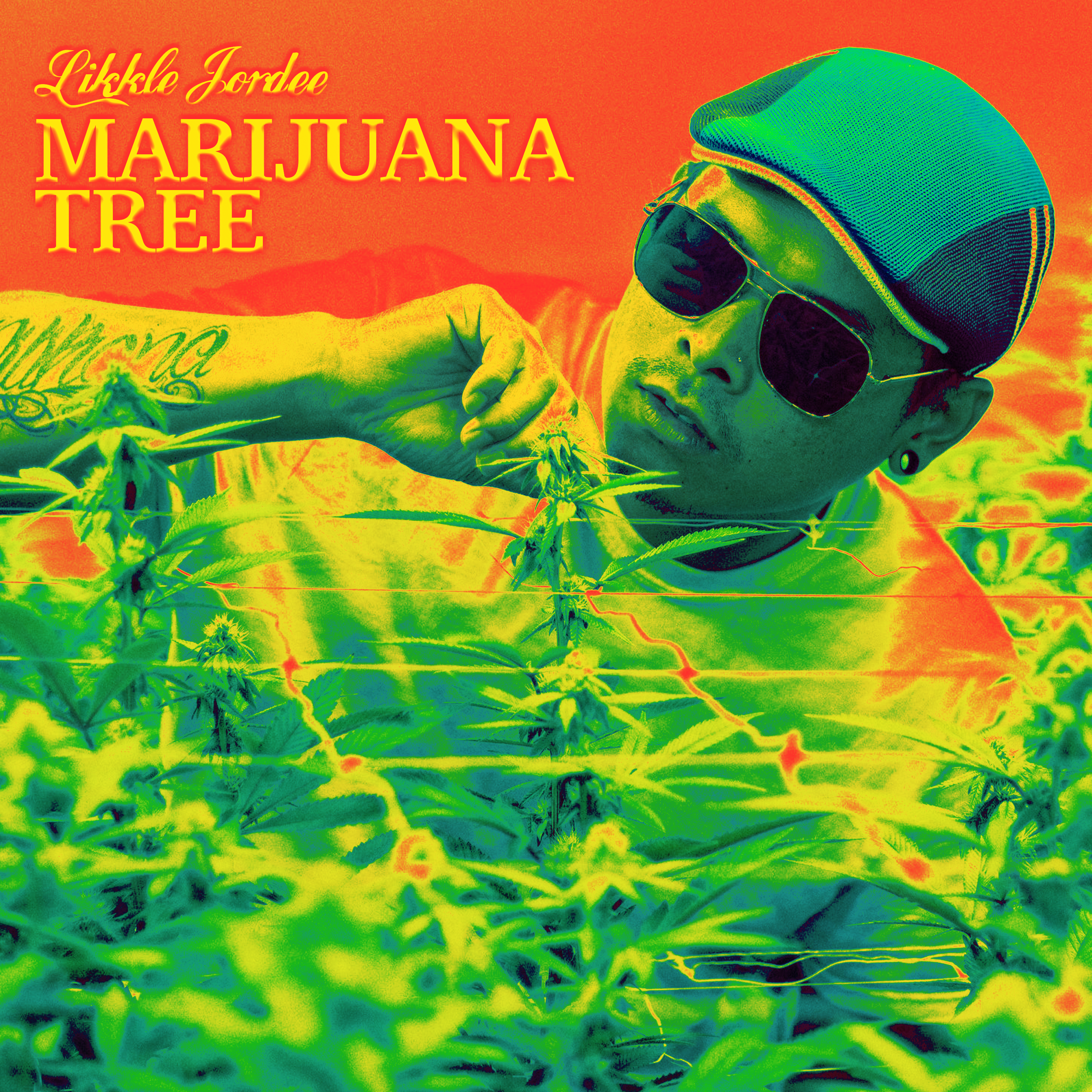 marijuanatree.png