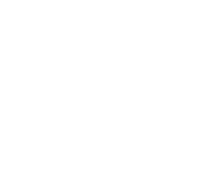 InnerSole-wht.webp
