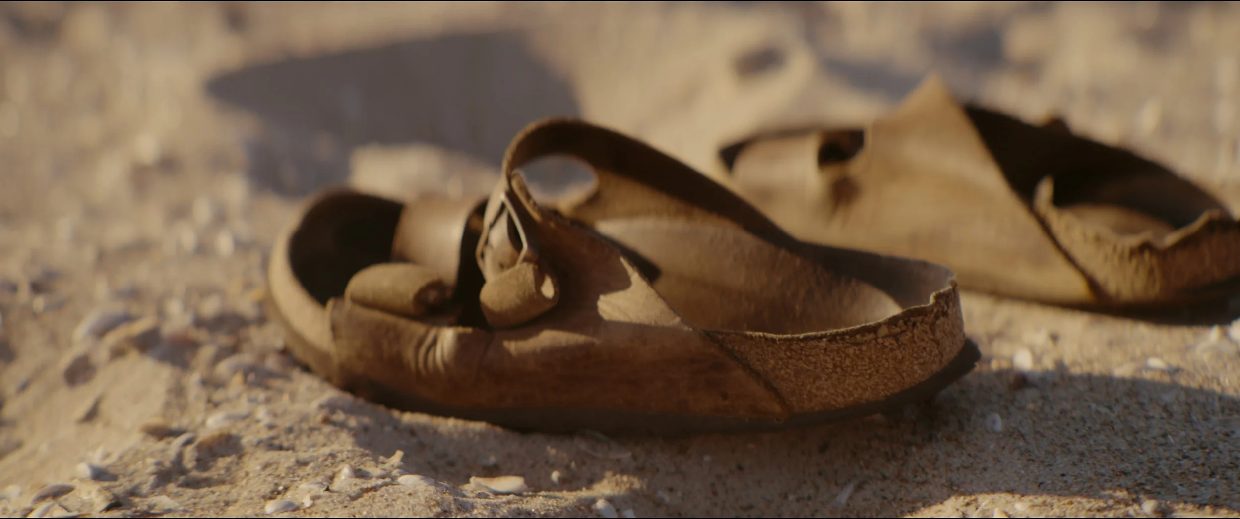 Still 2025-10-12 153739_1.9.1.JPG