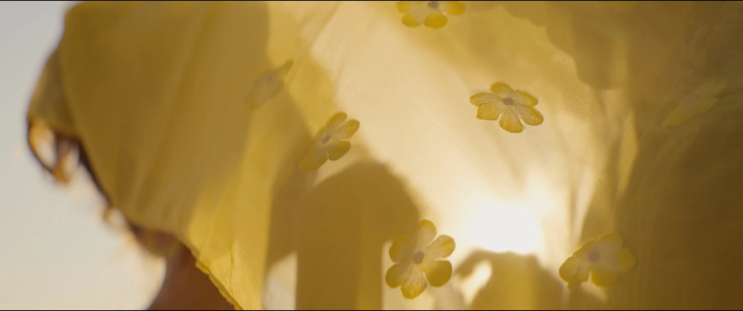 Still 2025-10-12 153739_1.17.3.JPG