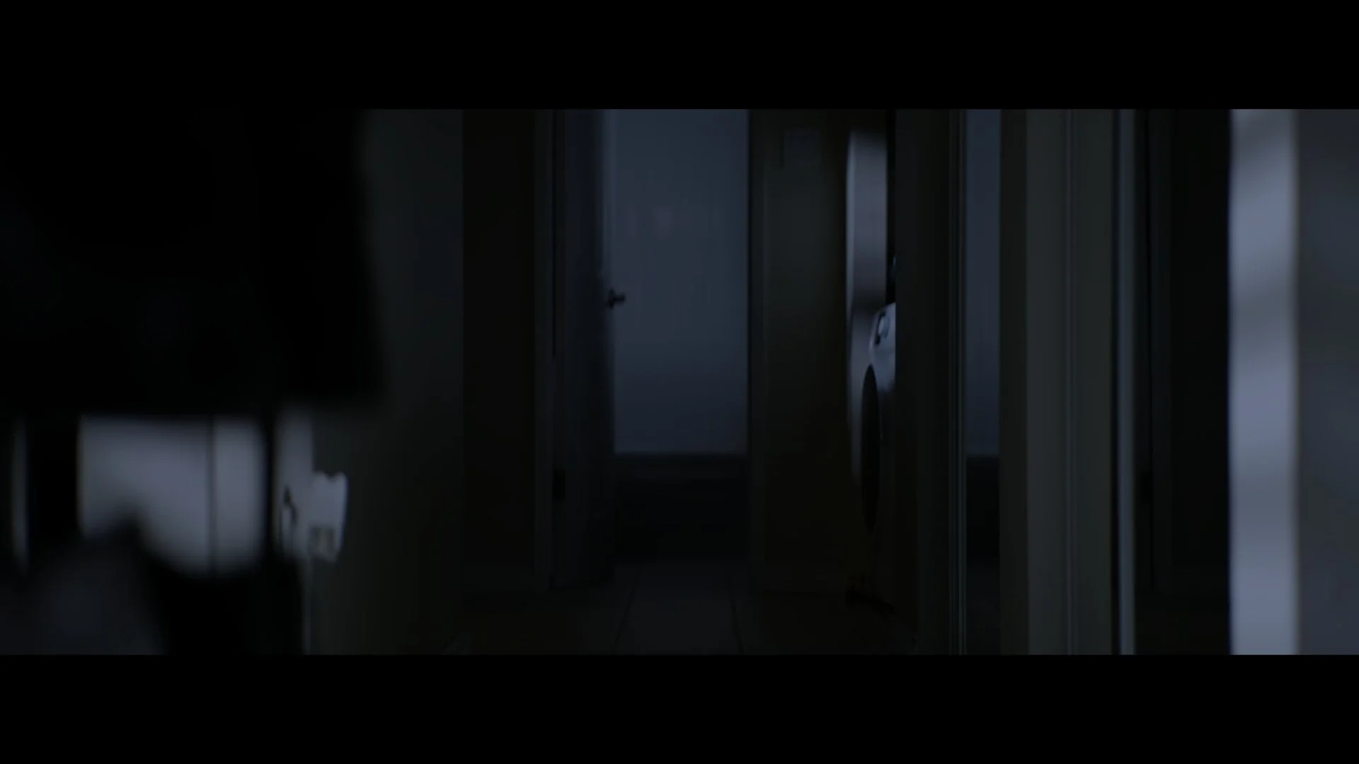 Still 2026-02-01 004507_1.4.1.JPG