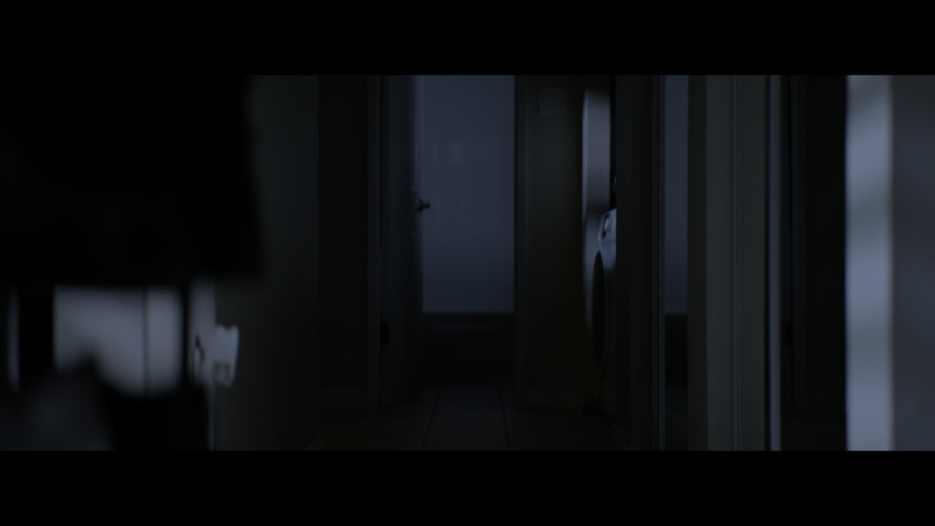 Still 2026-02-01 004507_1.4.1.JPEG