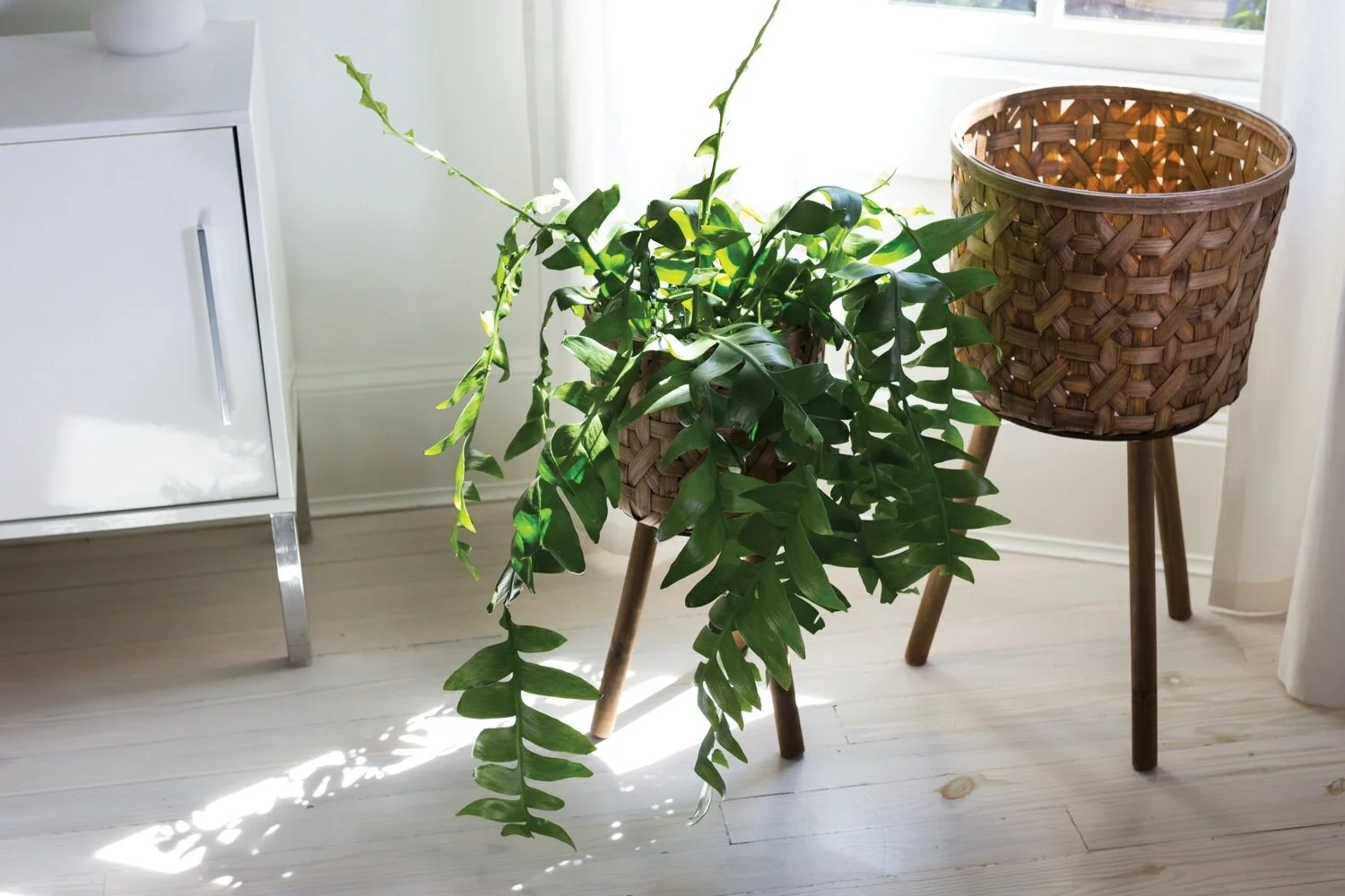 Bamboo Basket Stand 2.jpg