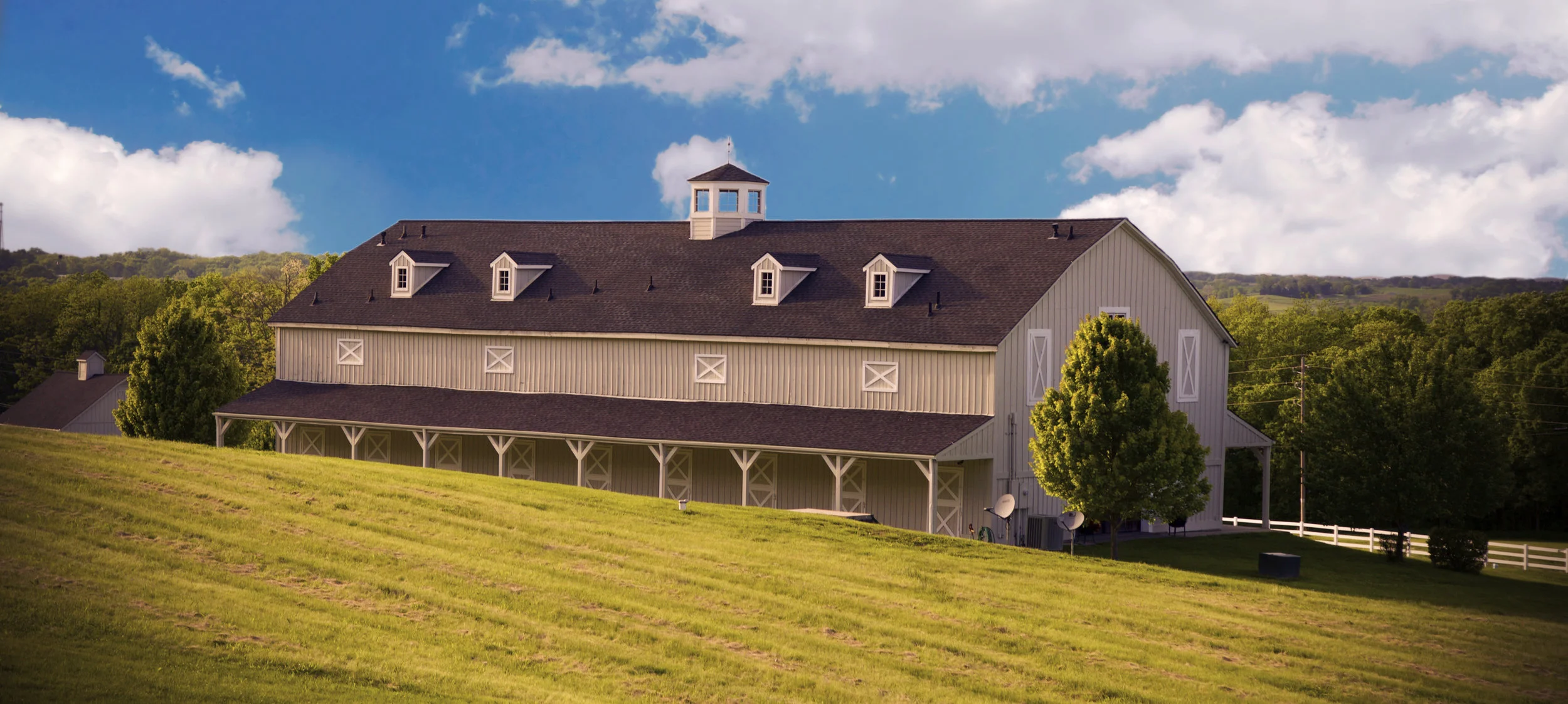 stables mr blue.jpg