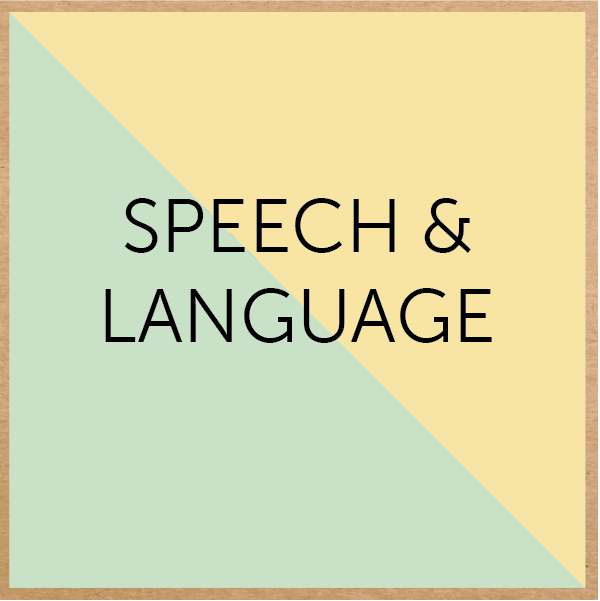 Literacy is a part of all areas of developmental domains; cognitive, social, emotional, and physical. Children develop their skills through oral language, alphabetical code, and print knowledge and concepts.
