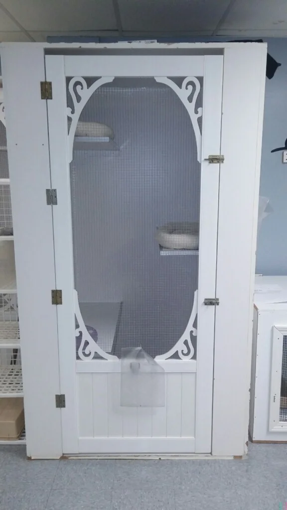 CatLargeCondo.jpg