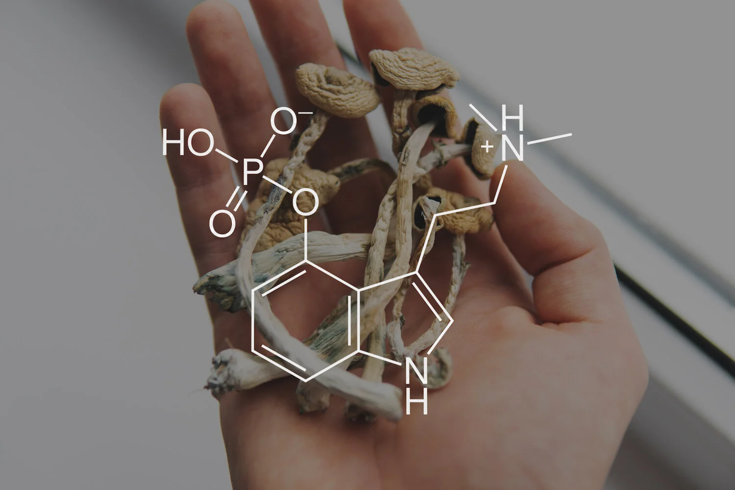 Psychedelic Mushrooms—The New Antidepressant?