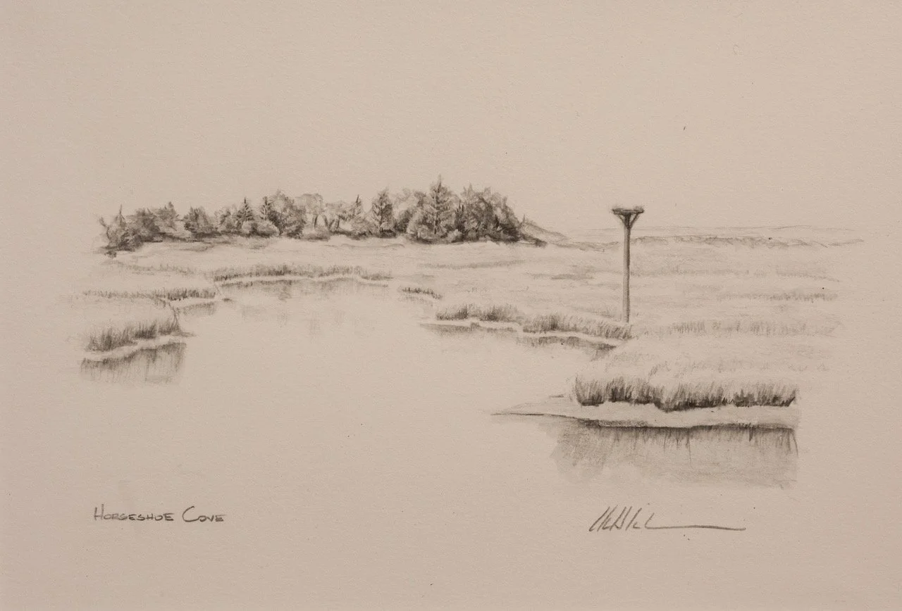 HORSESHOE COVE, graphite on toned paper, 4 x 6