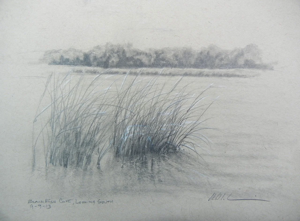 BLACK FISH COVE, graphite on toned paper, 5 x 8