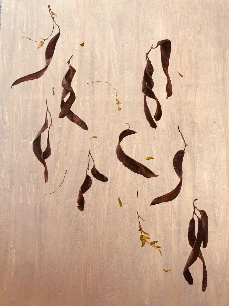 HONEY LOCUST, OCT. 9, oil on wood panel, 40 x 30