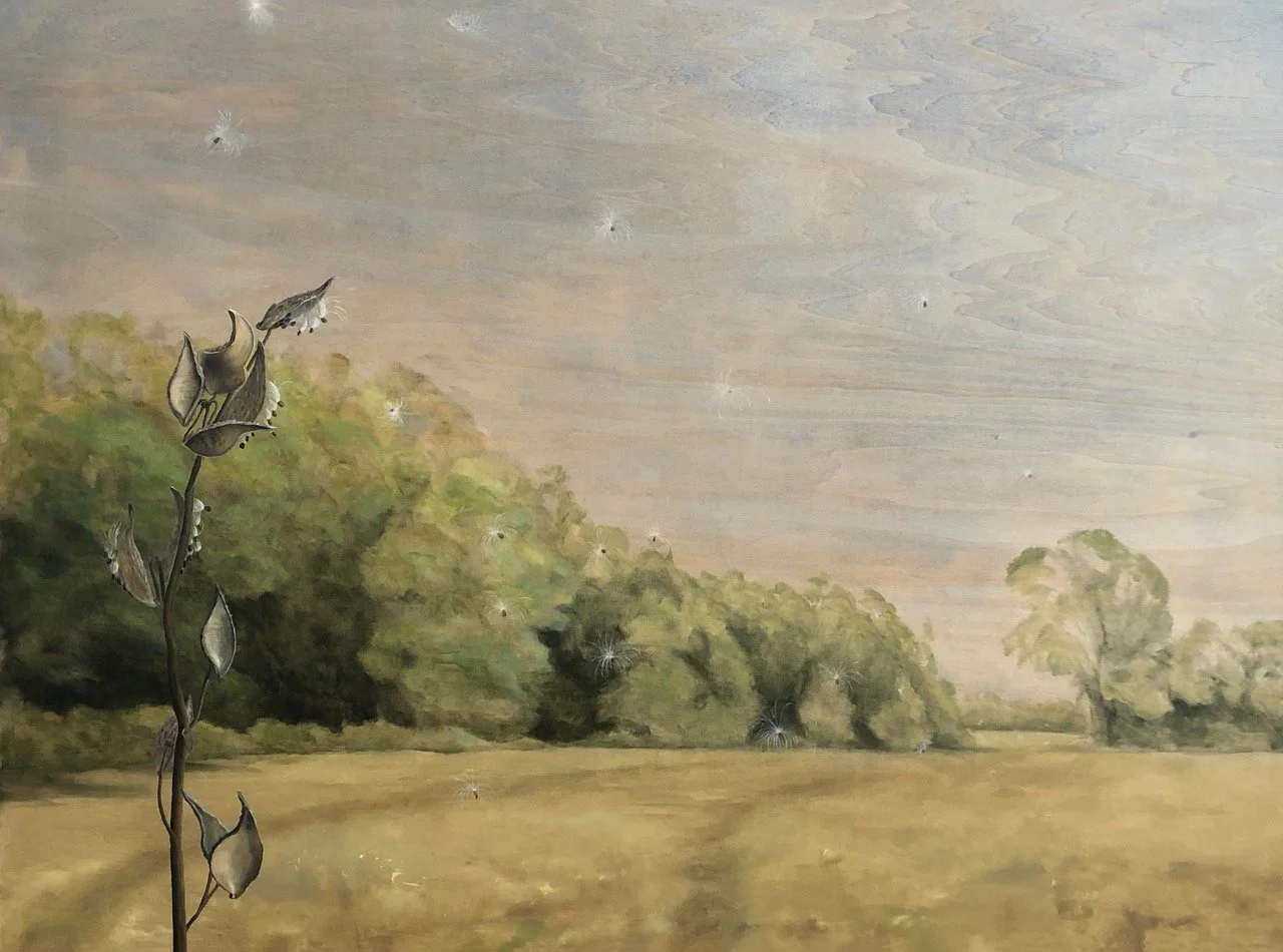 ASCLEPIAS SYRIACUS, oil on wood panel, 36 x 48