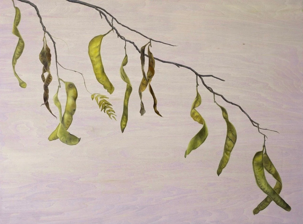 HONEY LOCUST, AUG 9, oil on wood panel, 36 x 48