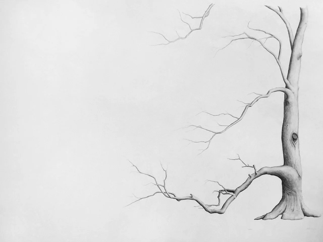 WEARY, graphite on cotton paper, 38 x 50