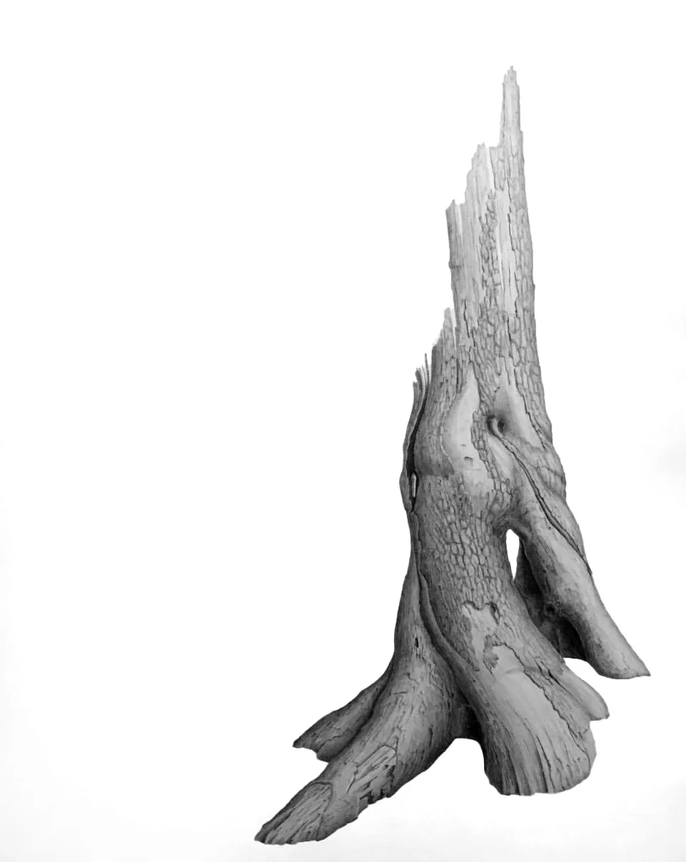 GRACEFULLY TURNED OUT, graphite on cotton paper, 40 x 26