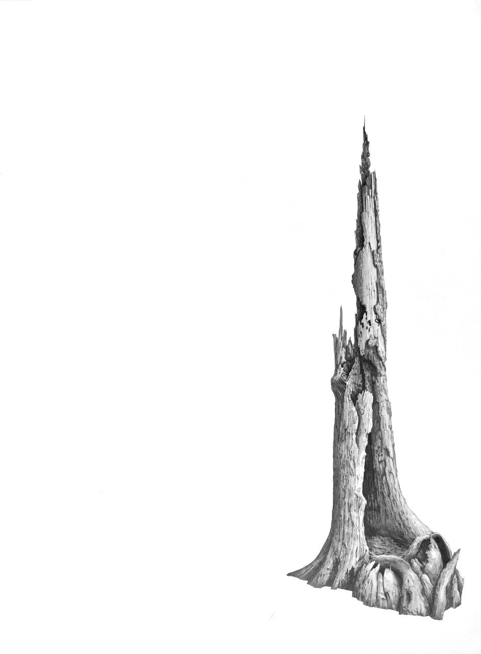 PINNACLE, graphite on cotton paper, 50 x 38