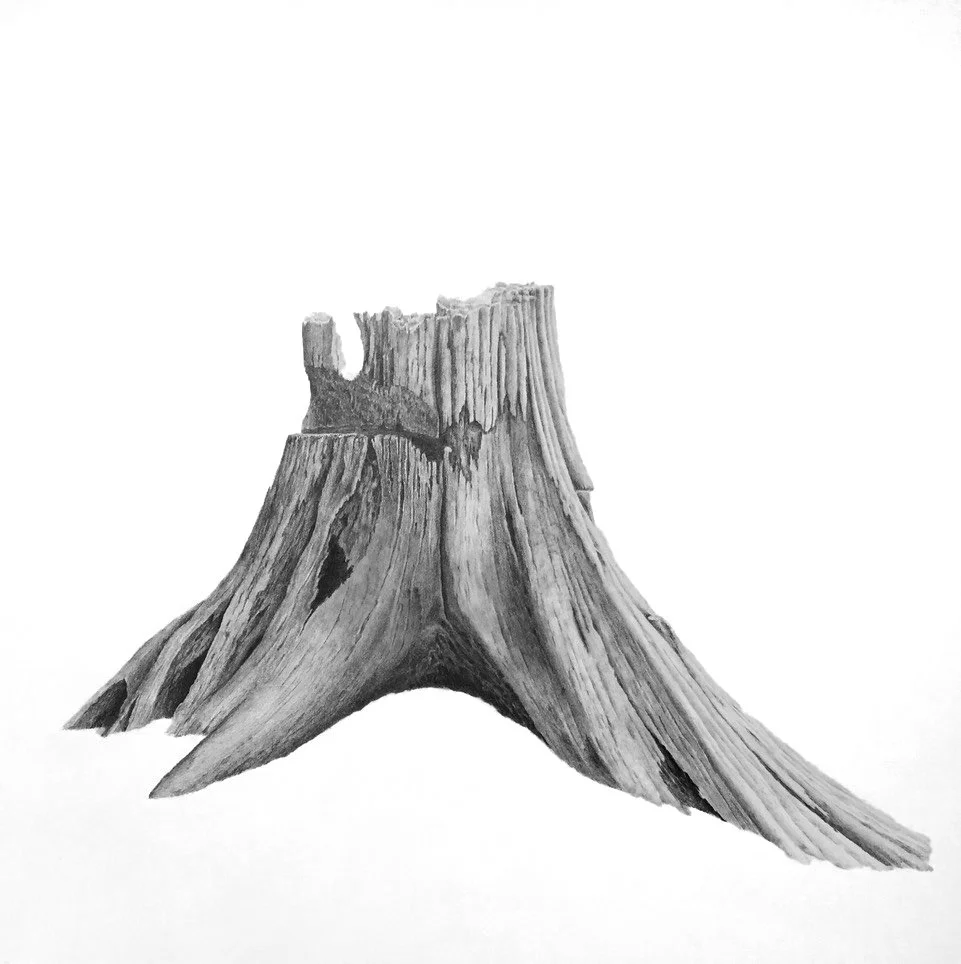 STUMPS & AXES I, graphite on cotton paper, 30 x 22