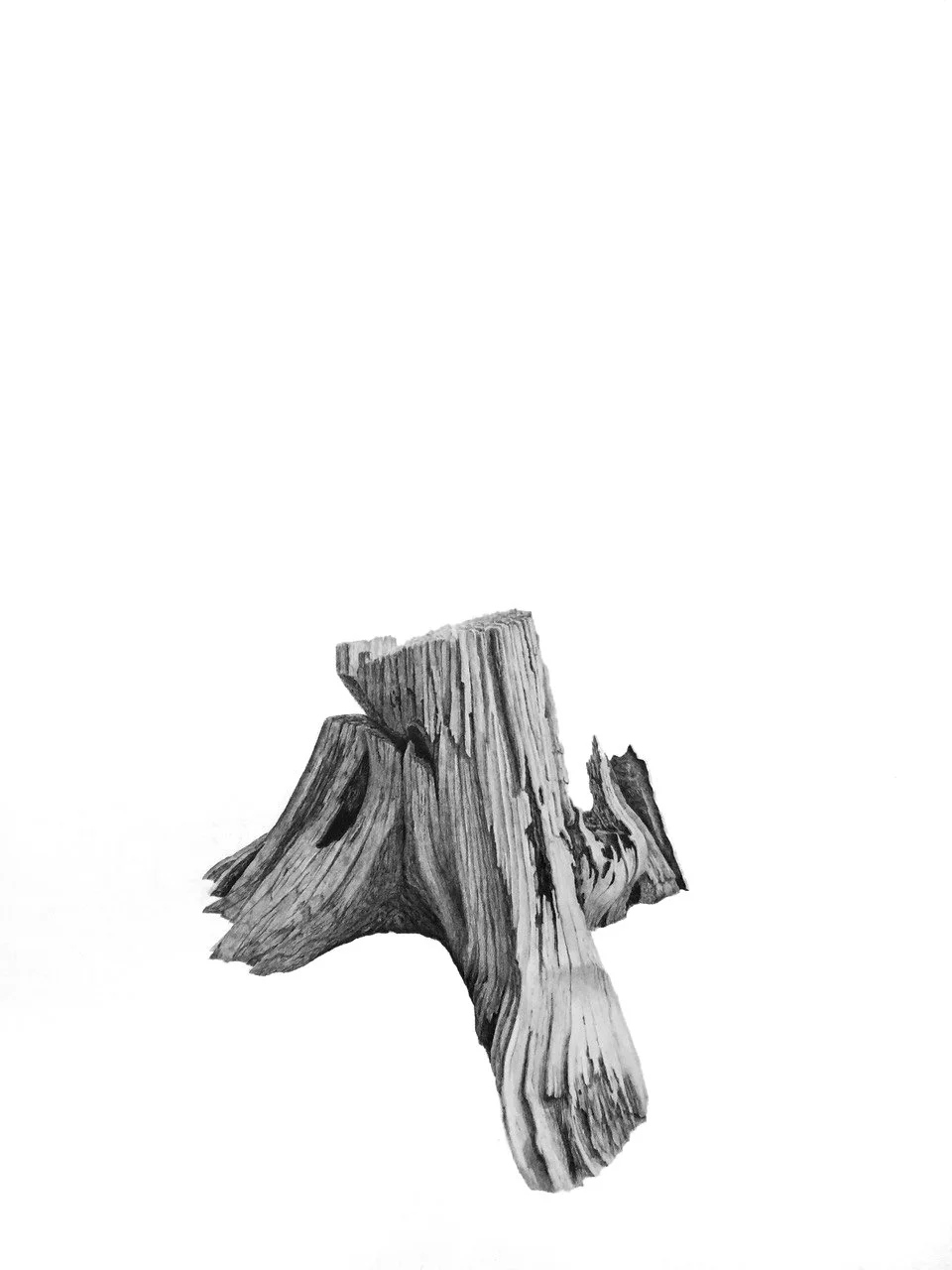 STUMPS & AXES II, graphite on cotton paper, 30 x 22