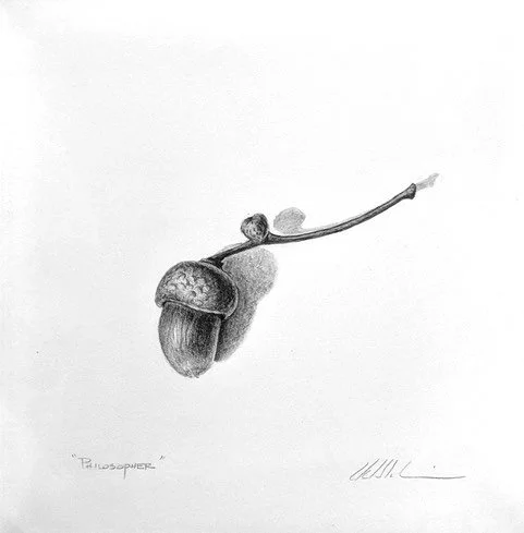 PHILOSOPHER, graphite on paper, 5 x 5