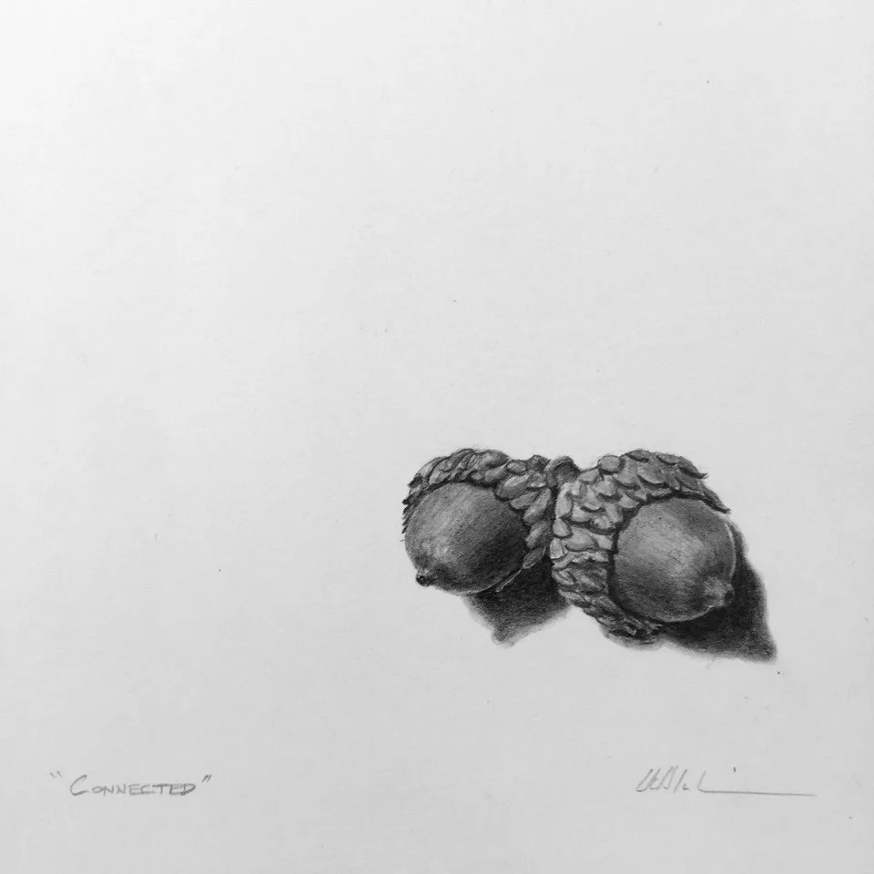 CONNECTED, graphite on paper, 5 x 5