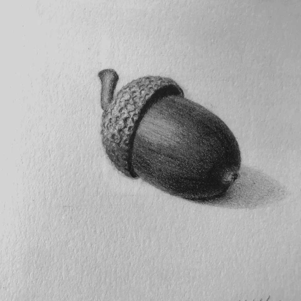 MISFIT, graphite on paper, 5 x 5