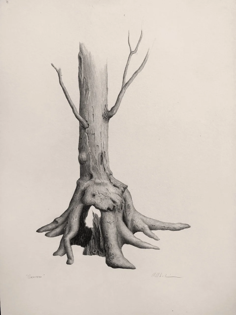 SEATED, graphite on toned cotton paper, 16 x 11