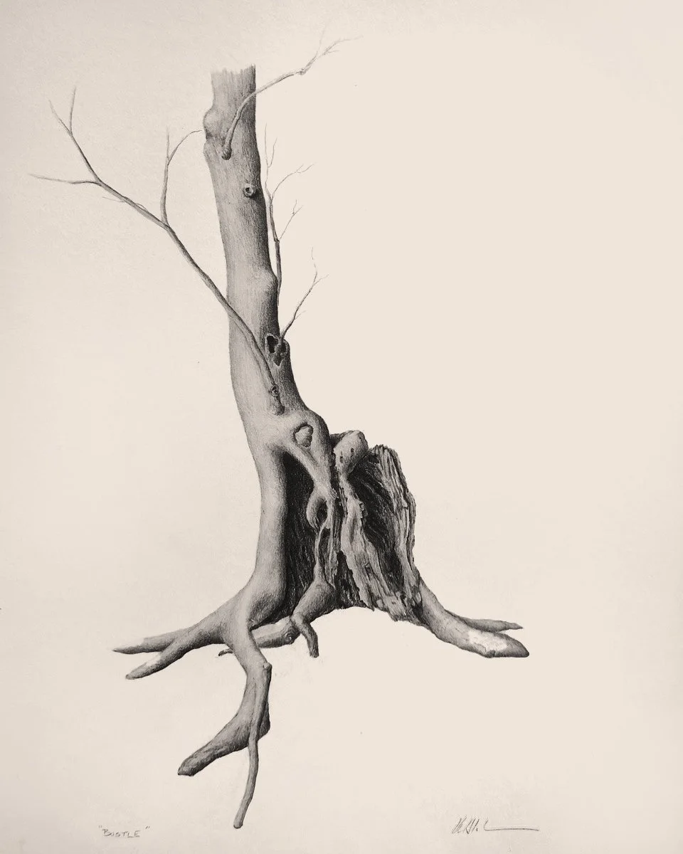 BUSTLE, graphite on toned cotton paper, 16 x 11